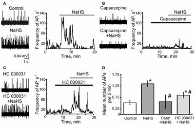 Receptor Mechanisms Mediating the Pro-Nociceptive Action of Hydrogen Sulfide in Rat Trigeminal Neurons and Meningeal Afferents